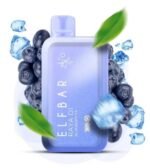 Elfbar-Raya-D1-13000-puffs-Disposable-Vape-Blueberry-Ice