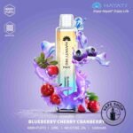 HAYATI PRO MAX 4000 BLUEBERRY CHERRY CRANBERRY_17_11zon