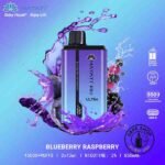 HAYATI Pro Ultra 15000 Puffs 20MG Disposable Vape Price in Dubai Blueberry Raspberry_4_11zon