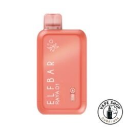 Lychee Juicy Peach ELFBAR Raya D1 13000 Puffs 50mg Nicotine Disposable Vape in Dubai Watermelon ice.png