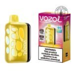 Vozol-Rave-40000-Puffs-Strawberry-Mango-Disposable-Vape