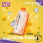 lost-mary-mt35000-mangoice_8_11zon