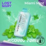 lost-mary-mt35000-miamimint_9_11zon