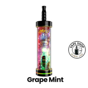 MFU-SHISHA-X2-Hookah-60000-Puff-Disposable-Grape-Mint-600x600