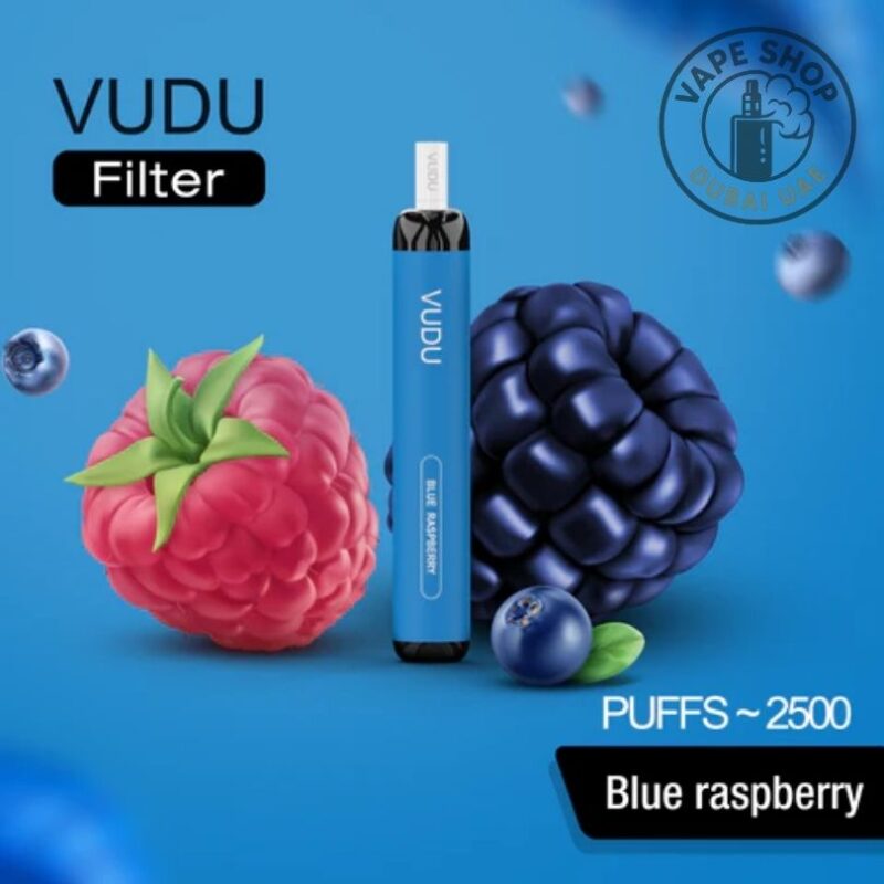 VUDU Filter 2500 Puffs 5% Disposable Vape in Blue Raspberry