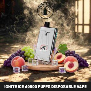 Ignite Ice 40000 Puffs Disposable Vape in Dubai